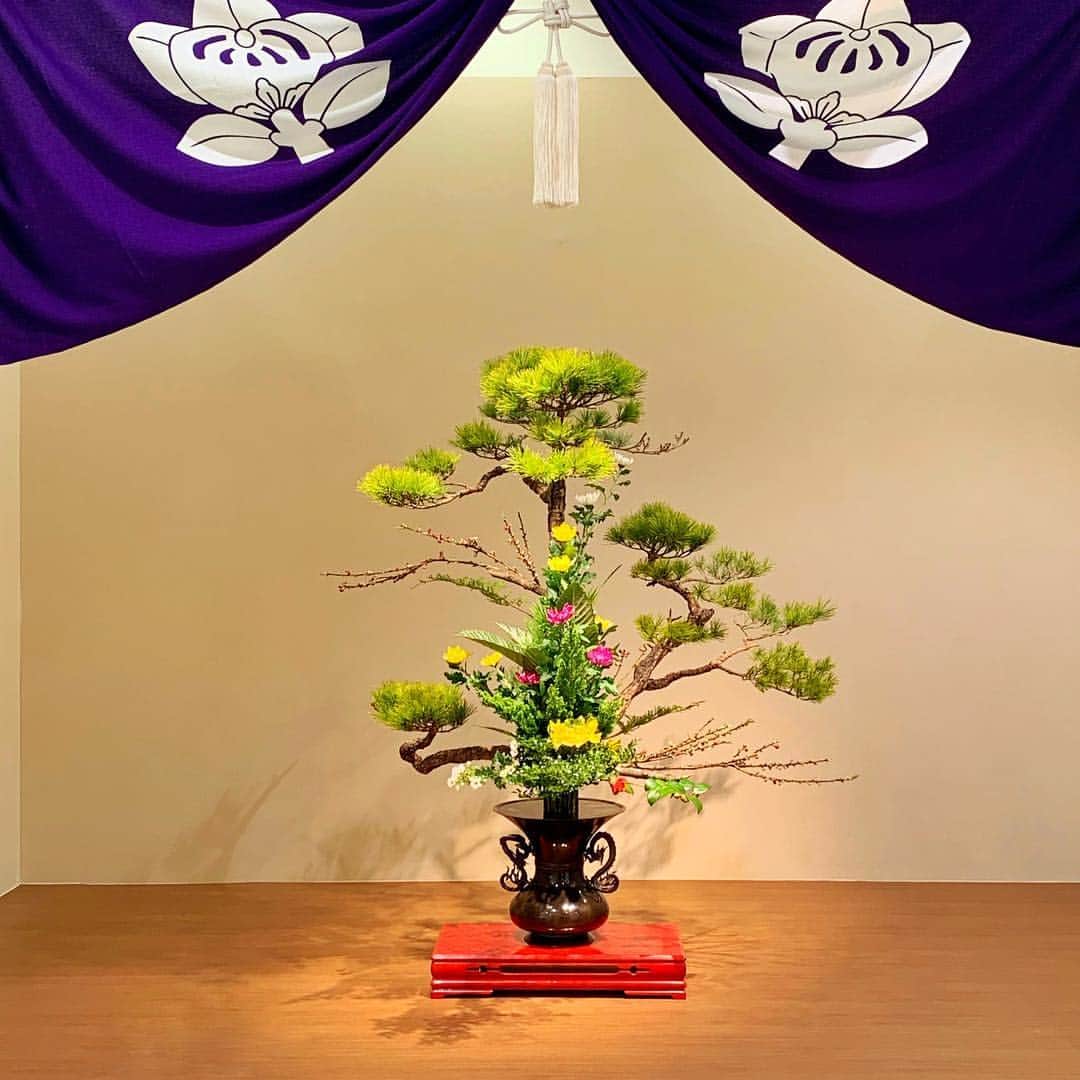 のインスタグラム：「「いけばなの根源池坊展-大阪花展-」 3月18日まで、大阪高島屋で開催中。  圧巻の「歴代天皇 即位の花」。 是非会場で実物をご覧ください！  http://www.ikenobo.jp/event/katen_2019/osaka.html  #池坊 #いけばなの根源池坊展大阪花展#大阪花展 #即位の花 #大阪高島屋 #なんば#平成#Osaka#大阪」