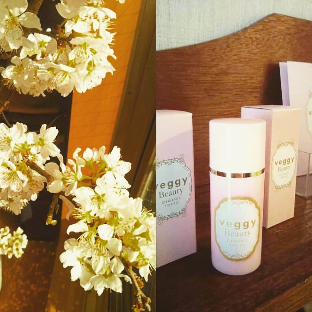 veggy_ambassadorのインスタグラム