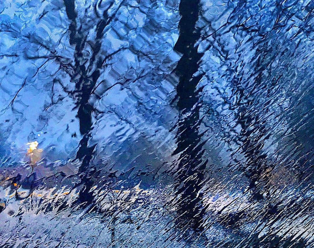 thephotosocietyさんのインスタグラム写真 - (thephotosocietyInstagram)「Photo by @ScottGoldsmithPhoto // The fresh white blanket was threatened as snow morphed into steady rain. When the windshield wipers stopped, kaleidoscope like imagery inspired me to grab my iphone.  #nofilter #raining #iphone」3月15日 9時01分 - thephotosociety