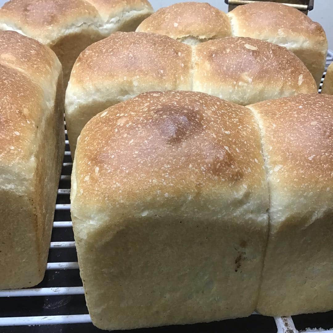 魔女菅原のグルメインスタ