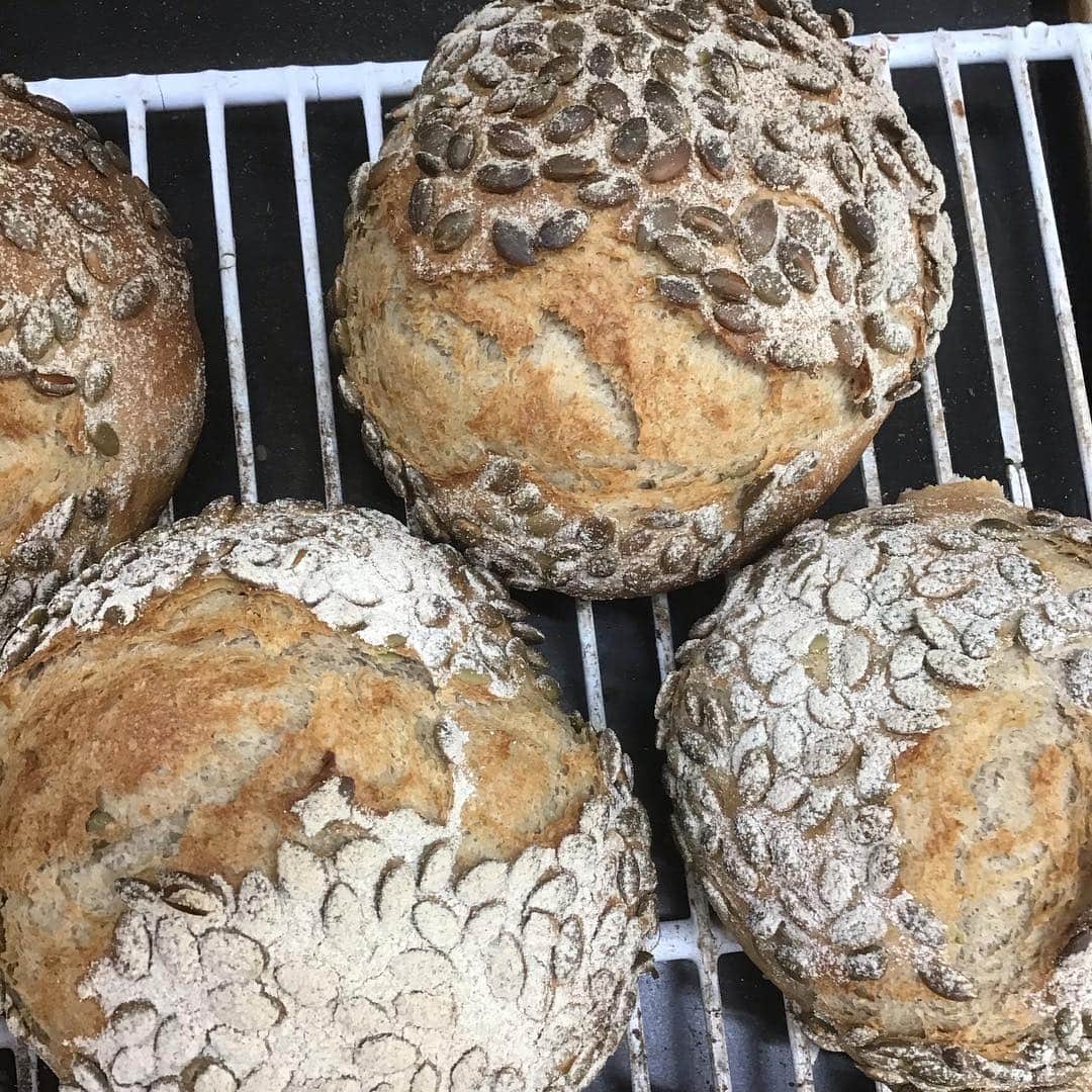 魔女菅原のグルメインスタ