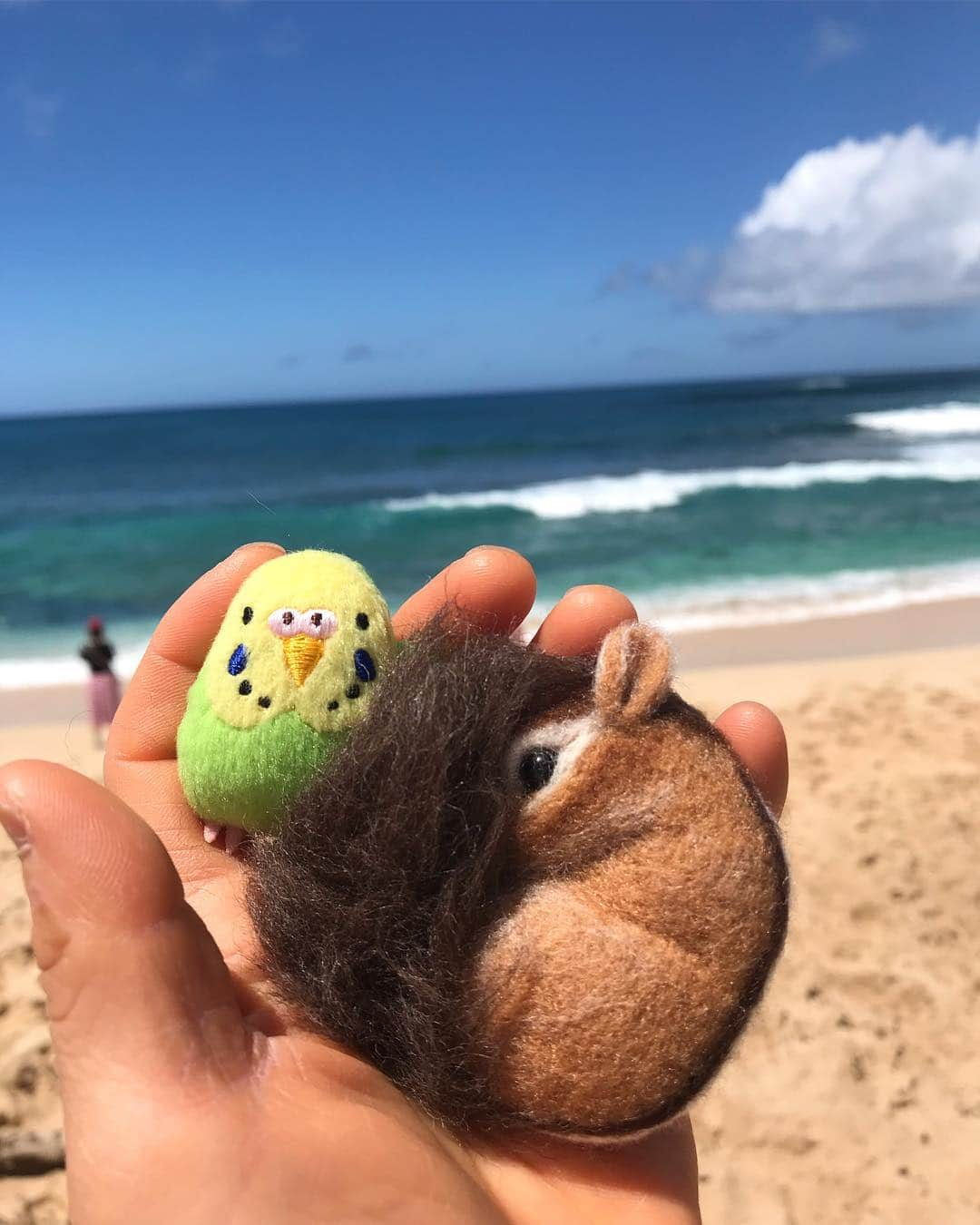 peace_0322さんのインスタグラム写真 - (peace_0322Instagram)「#リス#シマリス#インコ#セキセイインコ#ふわもこ部 お母さん #初めてのハワイ旅行 なので半日観光中🚌 日立の木♫、ドール・プランテーションガーデン、サンセットビーチ⛱など… 途中うさぎさん雲に遭遇😆」3月15日 9時36分 - peace_0322