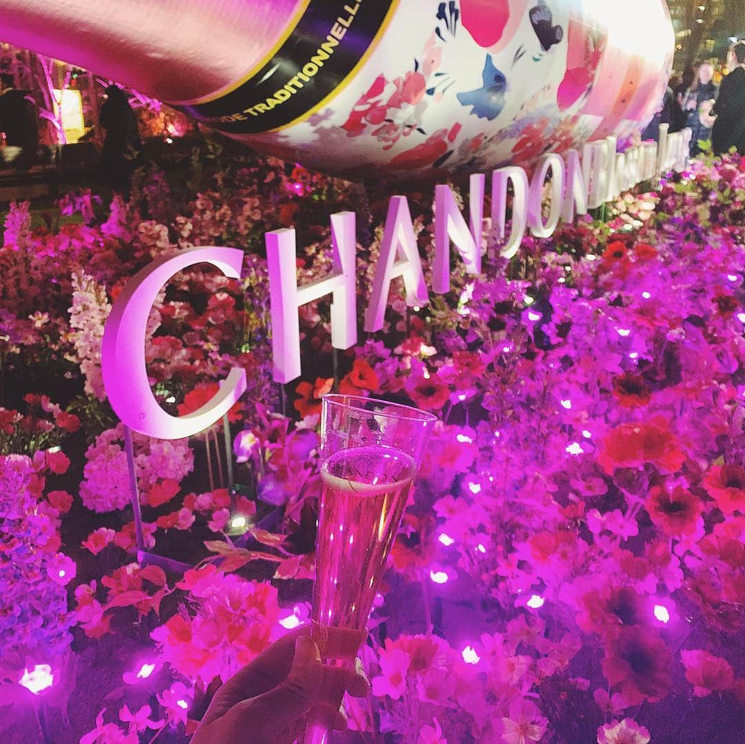 神尾美沙さんのインスタグラム写真 - (神尾美沙Instagram)「🌸﻿ 昨日はCHANDON Blossom Loungeの オープニングにご招待いただき行ってきました🍸﻿ ﻿ 3月15日～4月14日まで、ミッドタウン・ガーデンで 開催のイベントで、お花がたくさんディスプレイされてて 可愛い空間になってたよ✨﻿ ﻿ ﻿ クリエイティブ・アートディレクターの米津智之さんが デザインしたという日本限定ボトルも、花柄で めちゃくちゃ可愛かった💕﻿ ﻿ ﻿ BIGサイズのボトルのモニュメントには映像が流れていて、 幻想的だったのも良かったな😊﻿ お昼に行っても素敵な写真たくさん撮れそう！﻿ ﻿ ﻿ 14日までなのでぜひ行ってみてください🌸﻿ ﻿ ﻿ #お花見シャンドン#OHANAMICHANDON﻿ #CHANDON#roppongi#midtown﻿ #ミッドタウン#お花見#日本限定#花柄﻿ #限定デザイン#イベント#桜」3月15日 9時52分 - kamiomisa