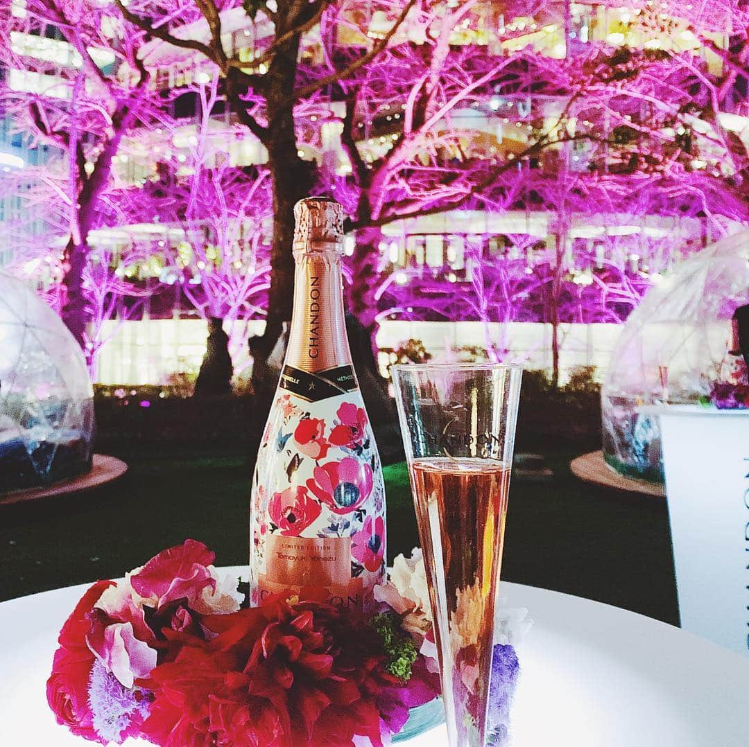 神尾美沙さんのインスタグラム写真 - (神尾美沙Instagram)「🌸﻿ 昨日はCHANDON Blossom Loungeの オープニングにご招待いただき行ってきました🍸﻿ ﻿ 3月15日～4月14日まで、ミッドタウン・ガーデンで 開催のイベントで、お花がたくさんディスプレイされてて 可愛い空間になってたよ✨﻿ ﻿ ﻿ クリエイティブ・アートディレクターの米津智之さんが デザインしたという日本限定ボトルも、花柄で めちゃくちゃ可愛かった💕﻿ ﻿ ﻿ BIGサイズのボトルのモニュメントには映像が流れていて、 幻想的だったのも良かったな😊﻿ お昼に行っても素敵な写真たくさん撮れそう！﻿ ﻿ ﻿ 14日までなのでぜひ行ってみてください🌸﻿ ﻿ ﻿ #お花見シャンドン#OHANAMICHANDON﻿ #CHANDON#roppongi#midtown﻿ #ミッドタウン#お花見#日本限定#花柄﻿ #限定デザイン#イベント#桜」3月15日 9時52分 - kamiomisa