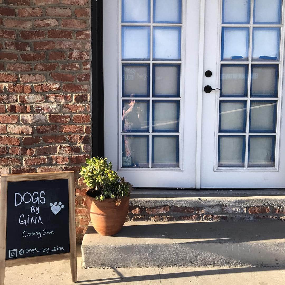 Dogs by Ginaのインスタグラム：「Tell the dogs, Ginas coming! . 814 3rd St. Napa, Ca Coming soon! #napavalley #napa #napaca #dogsofnapa #dogsofnapavalley #dogsofnapawineries」