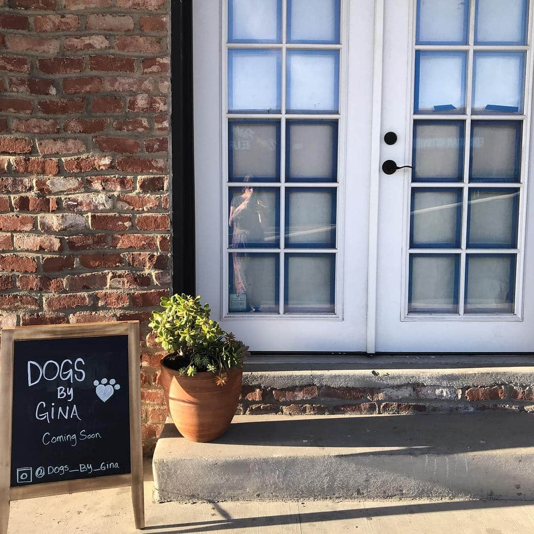 Dogs by Ginaさんのインスタグラム写真 - (Dogs by GinaInstagram)「Tell the dogs, Ginas coming! . 814 3rd St. Napa, Ca Coming soon! #napavalley #napa #napaca #dogsofnapa #dogsofnapavalley #dogsofnapawineries」3月15日 10時06分 - napanatural.dogco