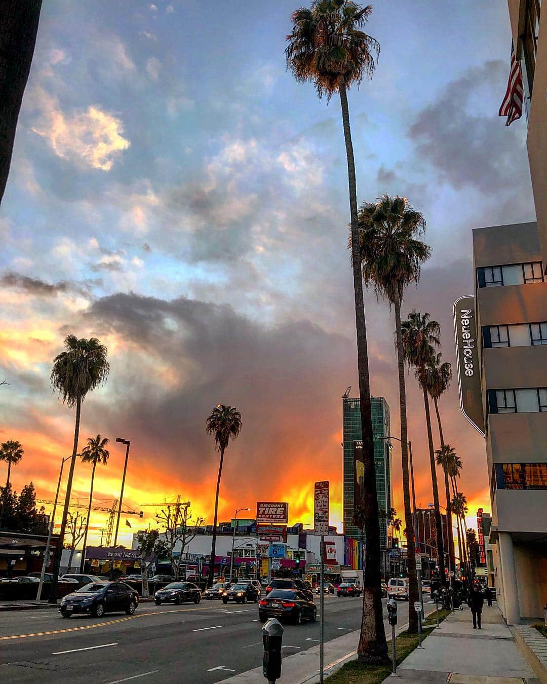 scottlippsさんのインスタグラム写真 - (scottlippsInstagram)「Sunsets on sunset... palm trees and beautiful skies in LA #hollywood #california」3月15日 11時02分 - scottlipps
