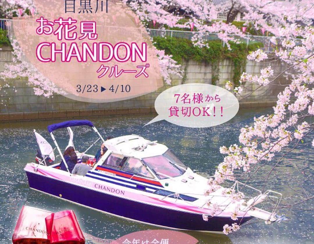 アニバーサリークルーズさんのインスタグラム写真 - (アニバーサリークルーズInstagram)「🌸 . . #お花見シャンドン の 【CHANDON Blossom Lounge】のオープニングイベントに参加させてもらいました🍾 . 東京ミッドタウンでのこのイベントは本日から4月14日までの開催だそうです🗓 . 大きなCHANDONボトルからお花が飛び出ていて、ボトルの底には素敵な仕掛けが💕 . お花見気分が楽しめます😊 . . そして、アニバーサリークルーズのお花見CHANDONクルーズは来週末からスタートです‼️ . . ＊-------------＊ 目黒川お花見CHANDONクルーズ 3/23〜4/10 芝浦CRIB桟橋出航 （日の出駅近く） #シャンドンロゼ飲み放題 🥂 #シャンドン日本限定ボトル ご用意‼️ #春色のフィンガーフード 付🍴 . お申込は「お花見CHANDONクルーズ」で検索☝️ ＊-------------＊ . . #ohanamichandon #お花見CHANDON #クエスト号 #アニー号 #貸切クルージング #貸切クルーズ #お花見chandonクルーズ #お花見クルーズ #目黒川クルーズ #目黒川お花見クルーズ #シャンドンロゼ #CHANDONROSE #megurogawa #meguroriver  #tokyo #japan」3月15日 11時34分 - anniversary_cruise