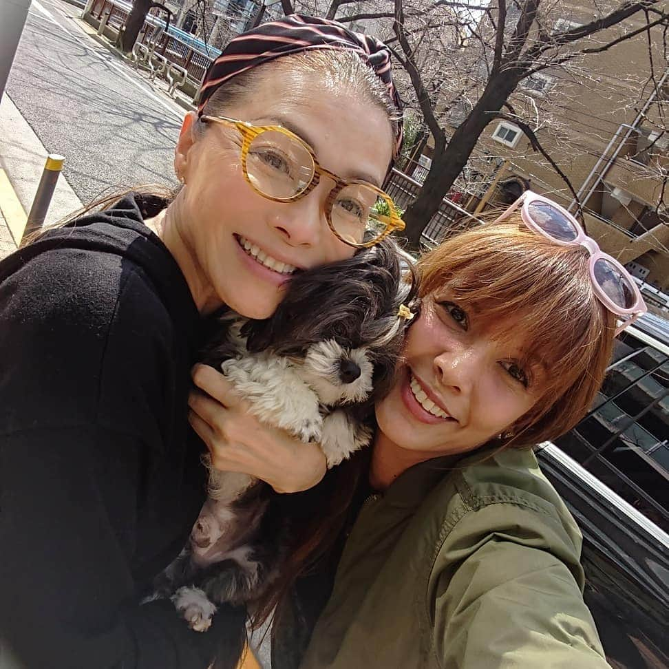 渡辺めぐみさんのインスタグラム写真 - (渡辺めぐみInstagram)「犬友のSHEILAちゃんに、甘ゆき物語の、おネギのおすそわけです⤴️⤴️⤴️⤴️ このねぎ、本当に甘くて美味しいのです😁⤴️⤴️⤴️ 焼いても煮ても、何に使っても、最高です😁⤴️⤴️⤴️ 季節限定だから、そろそろ今年は食べれなくなります😁⤵️⤵️⤵️ 甘ゆき物語で、検索してください😁⤴️⤴️⤴️ TEL・FAX 0282-27-1577  一度、お試しあれ😄⤴️⤴️⤴️ #甘ゆき物語#ネギ#ねぎ #栃木#美味しい #季節限定#instagramjapan #instagramlike #instagramgood #instagram#SHEILA  #@sheichan16」3月15日 11時41分 - meguheart