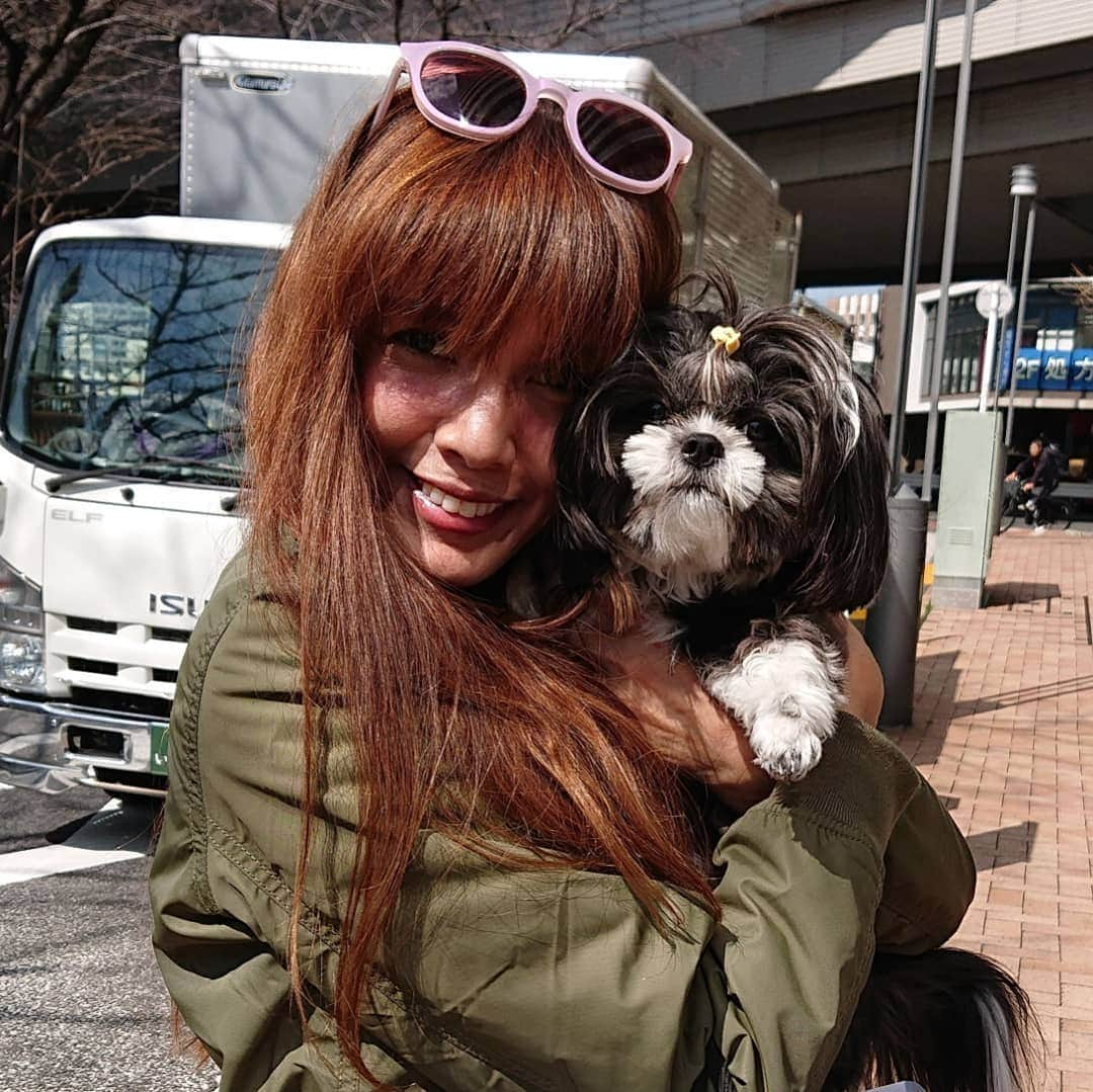 渡辺めぐみさんのインスタグラム写真 - (渡辺めぐみInstagram)「犬友のSHEILAちゃんに、甘ゆき物語の、おネギのおすそわけです⤴️⤴️⤴️⤴️ このねぎ、本当に甘くて美味しいのです😁⤴️⤴️⤴️ 焼いても煮ても、何に使っても、最高です😁⤴️⤴️⤴️ 季節限定だから、そろそろ今年は食べれなくなります😁⤵️⤵️⤵️ 甘ゆき物語で、検索してください😁⤴️⤴️⤴️ TEL・FAX 0282-27-1577  一度、お試しあれ😄⤴️⤴️⤴️ #甘ゆき物語#ネギ#ねぎ #栃木#美味しい #季節限定#instagramjapan #instagramlike #instagramgood #instagram#SHEILA  #@sheichan16」3月15日 11時41分 - meguheart