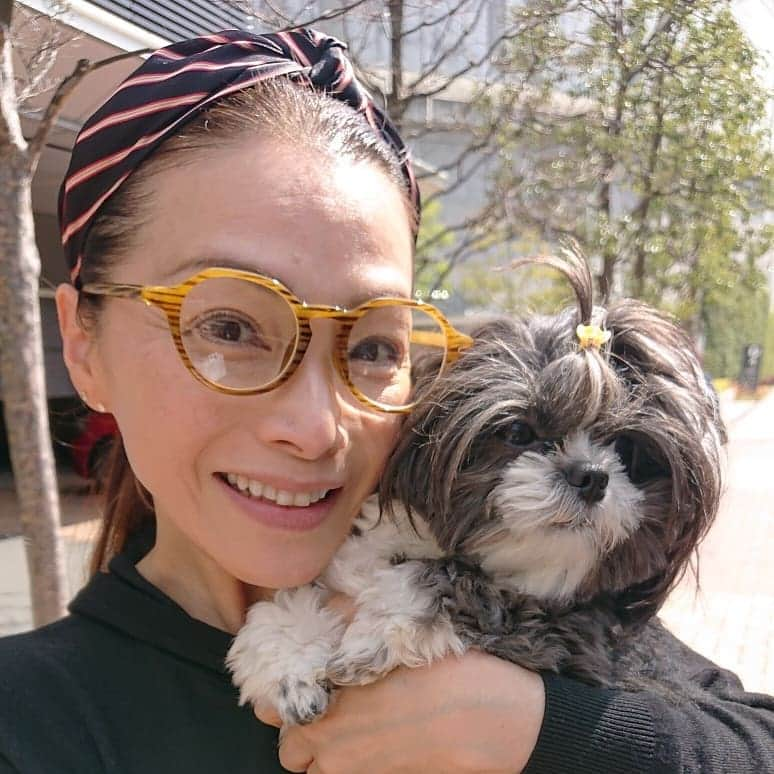 渡辺めぐみさんのインスタグラム写真 - (渡辺めぐみInstagram)「犬友のSHEILAちゃんに、甘ゆき物語の、おネギのおすそわけです⤴️⤴️⤴️⤴️ このねぎ、本当に甘くて美味しいのです😁⤴️⤴️⤴️ 焼いても煮ても、何に使っても、最高です😁⤴️⤴️⤴️ 季節限定だから、そろそろ今年は食べれなくなります😁⤵️⤵️⤵️ 甘ゆき物語で、検索してください😁⤴️⤴️⤴️ TEL・FAX 0282-27-1577  一度、お試しあれ😄⤴️⤴️⤴️ #甘ゆき物語#ネギ#ねぎ #栃木#美味しい #季節限定#instagramjapan #instagramlike #instagramgood #instagram#SHEILA  #@sheichan16」3月15日 11時41分 - meguheart