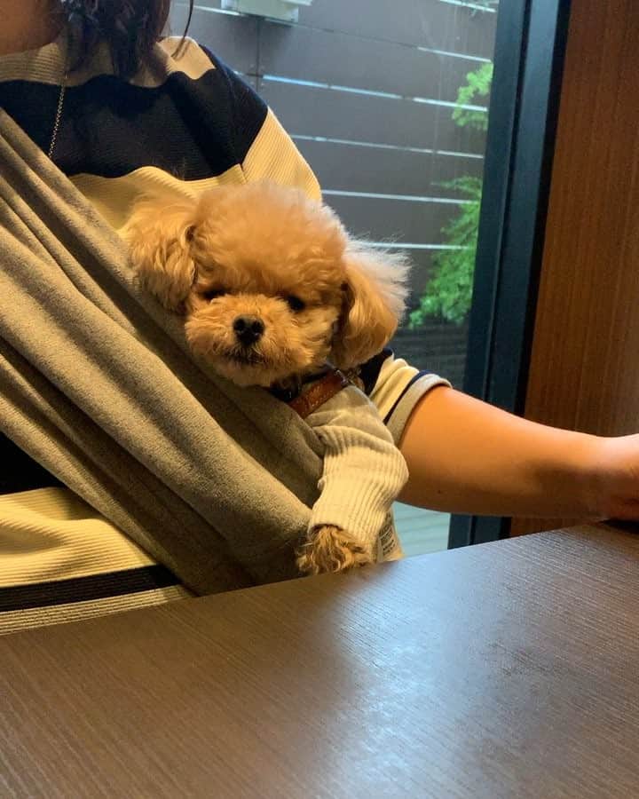 ❤︎Till❤︎のグルメインスタ