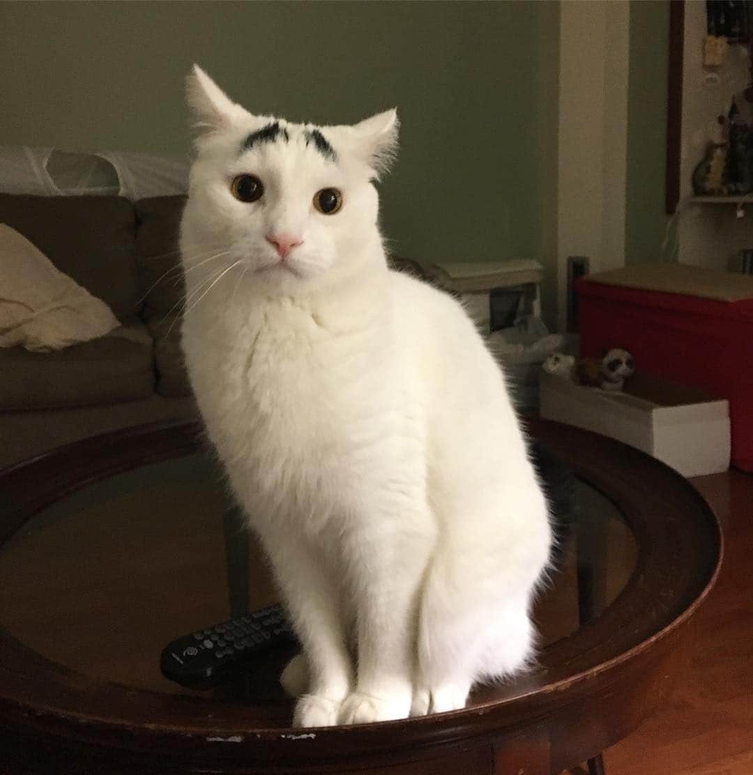 Samのインスタグラム：「When your boss asks you to stay late on a Friday. 😐」