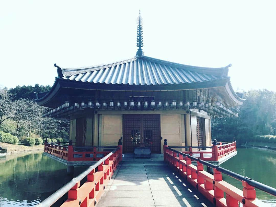 小嶋晶子さんのインスタグラム写真 - (小嶋晶子Instagram)「Last Saturday, my mom and I went to the Abe-Monjuin temple in Nara. The Abe-Monjuin Temple is one of the oldest Buddhist temples in Japan. We also went to worship Ukiumi-do Hall. (The main god of worship of this hall is Benzaiten, a deity which brings good luck.) We did ‘Shichi mairi’ there. The Shichi mairi prayer is where you walk around the hall seven times while praying, each time, for a wish to come true. I hope my mom’s wish comes true.  母と一緒に安倍文殊院へ。本堂を参拝後に浮御堂にて七参り。ぼけ封じ...神様お願いしますょ🥺🙏 #安倍文殊院 #ぼけ封じ #浮御堂 #奈良 #日本 #abemonjuintemple #nara #japan #🇯🇵」3月15日 21時25分 - kojimamajiko