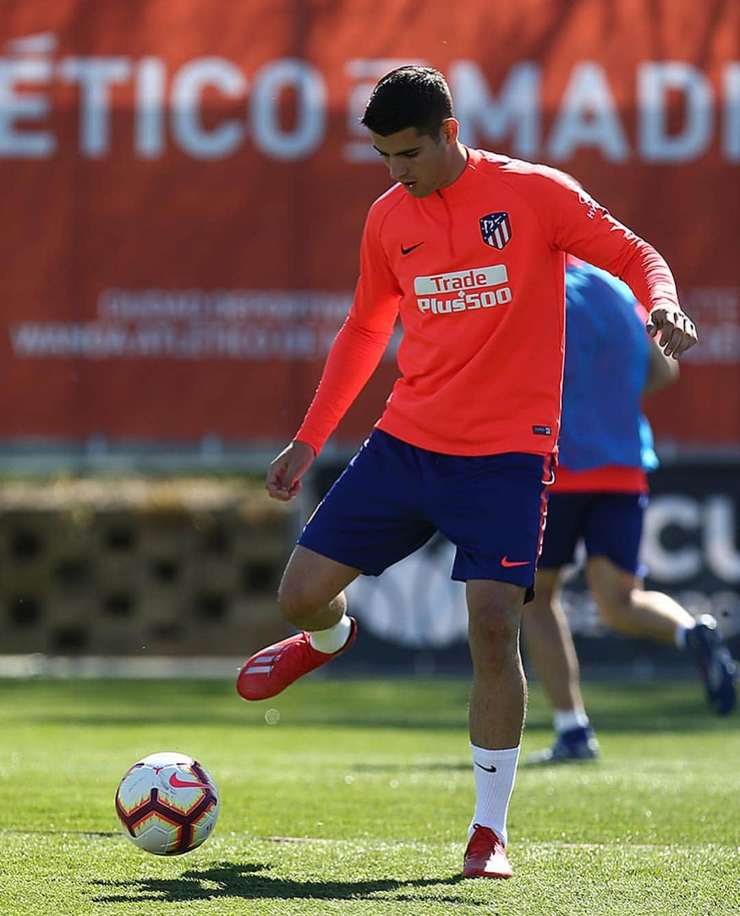 アトレティコ・マドリードさんのインスタグラム写真 - (アトレティコ・マドリードInstagram)「Preparados para el #AthleticAtleti 💪 Ready to fight!  #LaLiga #Atleti #AúpaAtleti」3月15日 21時34分 - atleticodemadrid