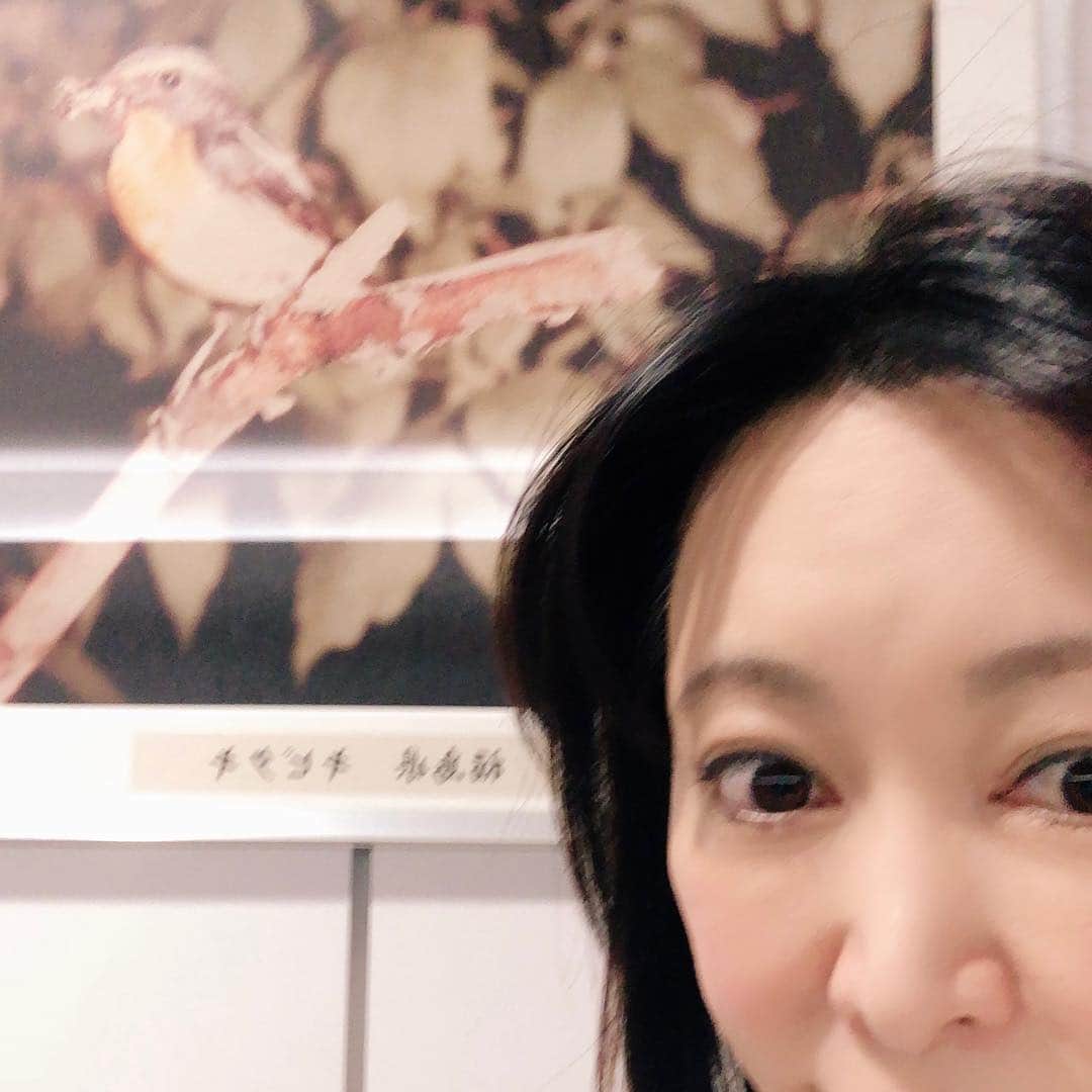 森まさこのインスタグラム