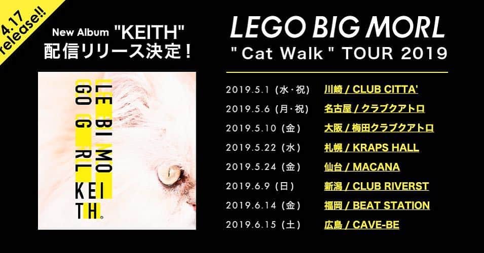 LEGO BIG MORLさんのインスタグラム写真 - (LEGO BIG MORLInstagram)「新元号に変わる5月1日より LEGO BIG MORL " Cat Walk " TOUR 2019 開催決定‼️ FC先行予約、オフィシャルHP先行予約は明日正午より開始‼️ 詳細はこちら https://www.legobigmorl.jp/contents/information/news  #LEGOBIGMORL」3月15日 21時58分 - legobigmorl