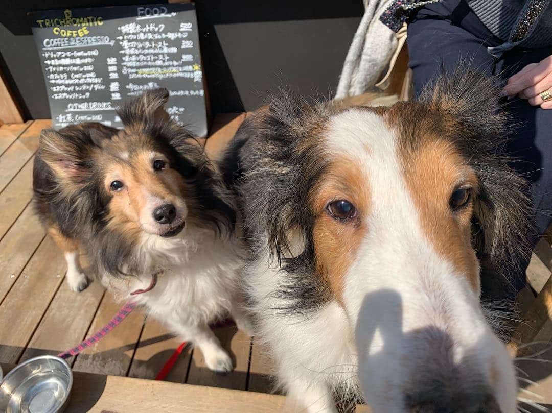 TRICHROMATIC COFFEEのグルメインスタ