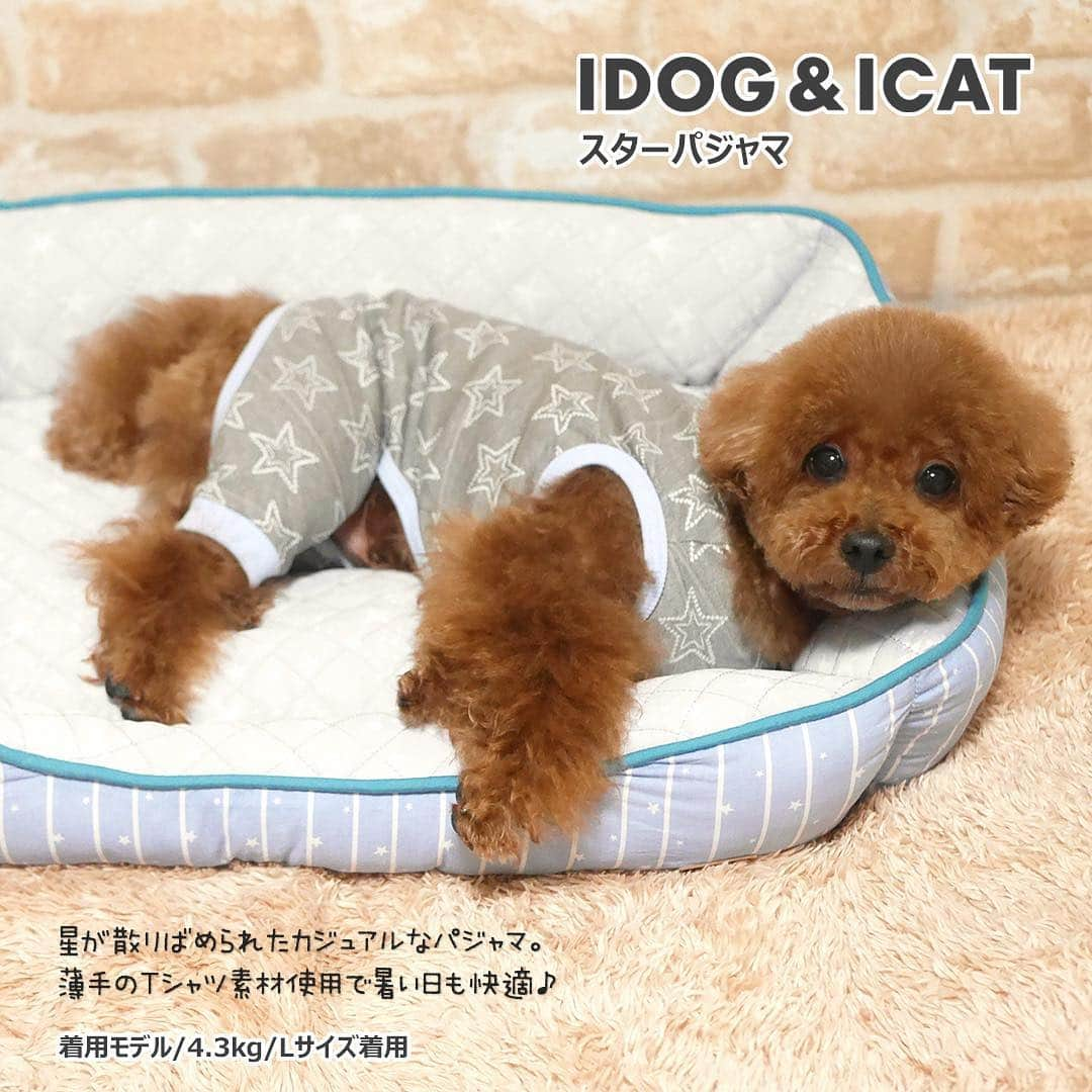 iDog&iCatさんのインスタグラム写真 - (iDog&iCatInstagram)「. 【1枚756円～大人気プチプラウェア発売開始！】 . IDOG&ICATでは3/15より、販売開始しております♪ 楽天店舗URL：https://item.rakuten.co.jp/idog/c/0000000129/ . 寒い冬を越え、だんだんと暖かくなってきた今日この頃。 今すぐから暑い夏まで着られる春夏ウェアを多数販売♪ . 756円のキュートなタンクや大型犬用タンクまで！ 安くてカワイイウェアが5型UP♪ 在庫限りで販売終了になるので、お気に入りが見つかりましたら、お早目にどうぞ★ . イベントの詳細はプロフィールのURLからご確認ください♪ . . IDOG&ICAT公式LINEをお友達登録でお得な情報をゲットしよう！LINE ID『 ＠idogicat 』で検索♪ . #iDog #iDogiCat #iCat #ペット服 #ドッグウェア #新作 #プチプラ #犬服 #犬の服 #犬の服iDog #犬 #超小型犬 #小型犬 #中型犬  #キャットウェア #猫服 #猫の服 #猫の服iCat #猫#わんすたぐらむ #dog #にゃんすたぐらむ #cat #チワワ#トイプードル #ミニチュアダックスフンド#MIX犬」3月15日 14時00分 - idogicat