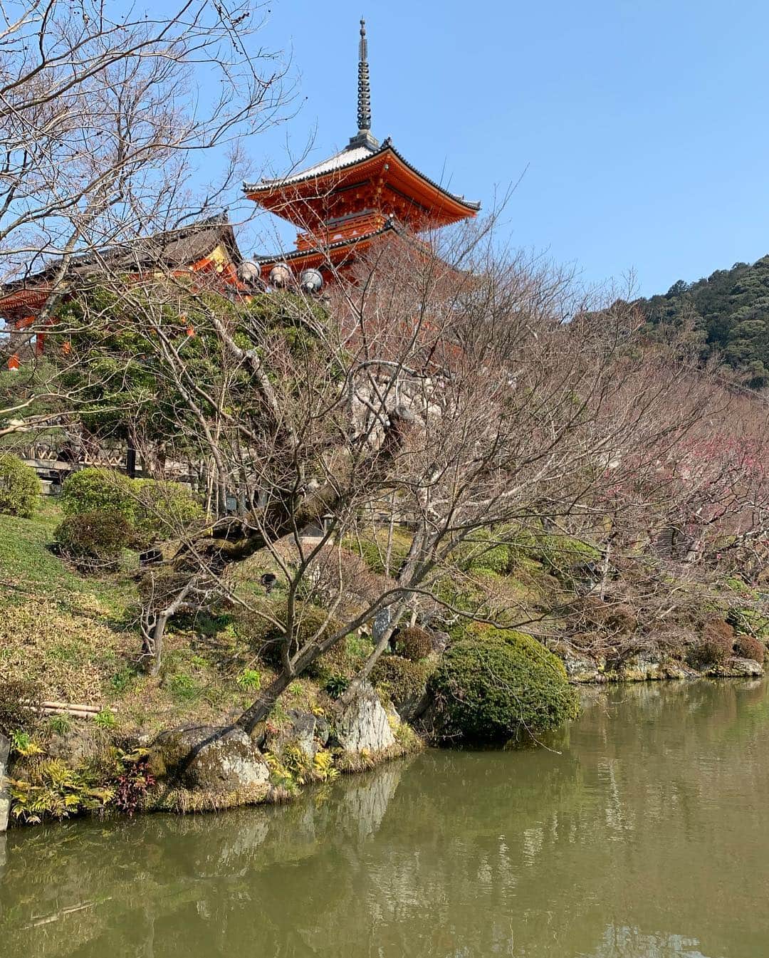 入江慎也さんのインスタグラム写真 - (入江慎也Instagram)「京都を一人観光  久しぶりに清水寺へ  天気が良くて最高でした。 京都で桜🌸🌸🌸が見たい  写真を🤳🤳🤳撮ってくださいが周りがほぼカップルな為恥ずかしい、、、 #京都 #清水寺 #観光 #自撮り #行った先に何かある」3月15日 14時12分 - oreirie0408