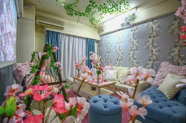 Space Marketさんのインスタグラム写真 - (Space MarketInstagram)「【🌸studio Fleur🌸】 ﻿ ﻿インドア花見装飾実施中🌸 ﻿ 天候を気にせずにお花見気分が味わえる！インスタ映え抜群の可愛い内装のお部屋です。 ﻿ お料理を可愛く見せる盛り付けグッズもあるので、女子会におすすめですよ。 ﻿ #スペースマーケット #スペマ #spacemarket #レンタルスペース東京  #インドア花見 #インドア花見2019 #プライベート花見 #インスタ映えスペース #お花見 #花見 #花見女子会 #花見パーティー #花見撮影 #平成最後の桜祭り」3月15日 14時46分 - spacemarketjp