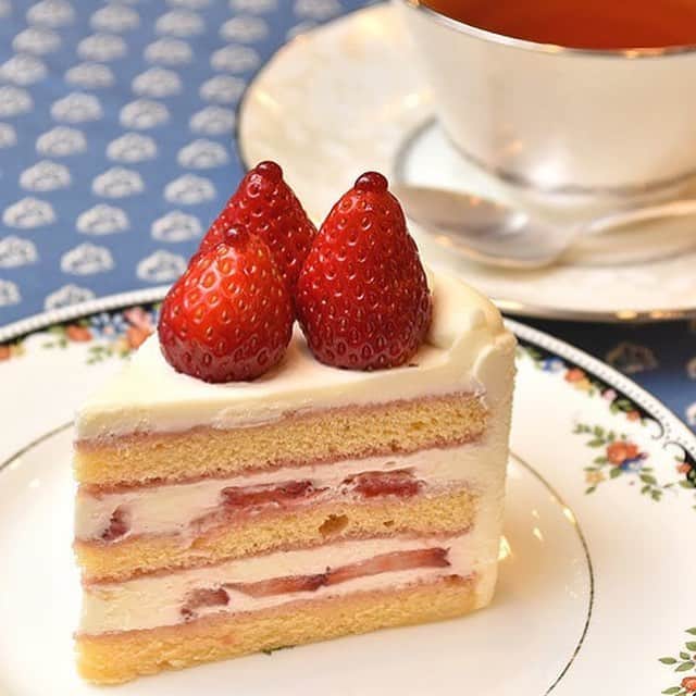東京カレンダーさんのインスタグラム写真 - (東京カレンダーInstagram)「日本一と称されるショートケーキがこちらの「ブラン」。口に入れた瞬間にしっかりとクリームの豊かな風味とコクを感じさせ、さらりと消えていく。この口溶けの良さが最大の特徴だ。 #東京カレンダー #東カレ #tokyocalendar #sweets #巣鴨 #フレンチパウンドハウス大和郷店 #ブラン」3月15日 15時03分 - tokyocalendar