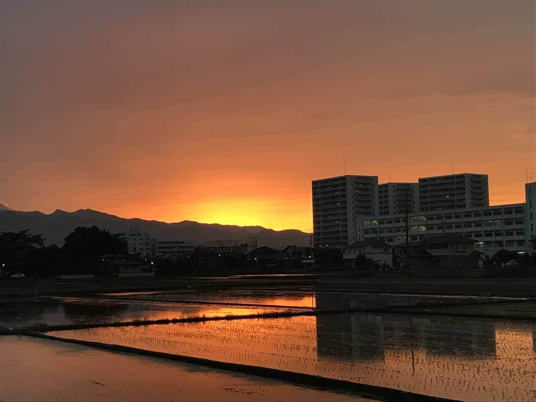 海老名市のインスタグラム