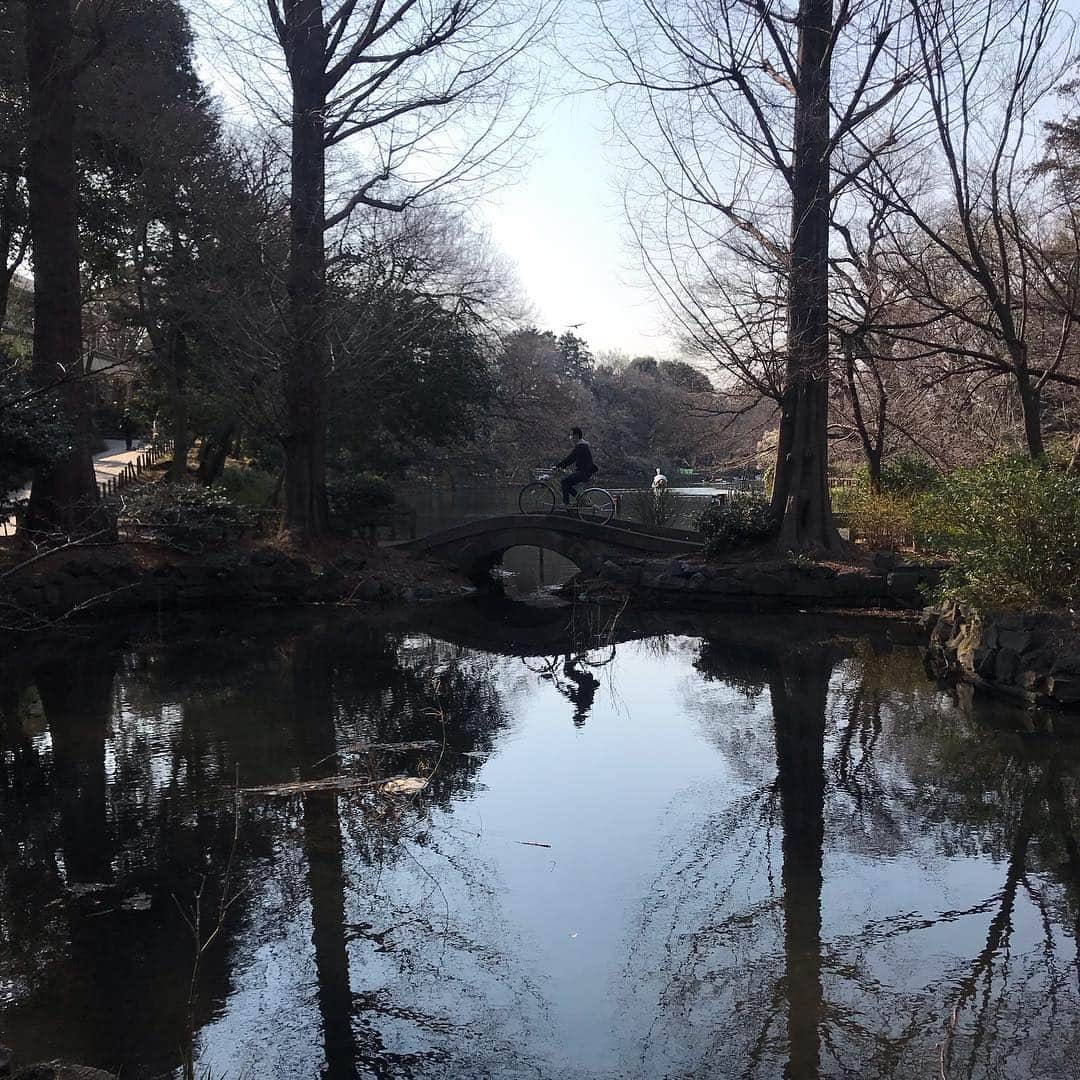 藤代冥砂さんのインスタグラム写真 - (藤代冥砂Instagram)「ふらっと井の頭公園。 水辺のベンチに憩う人たち多数。晴れた日は、外がいいよね。 打ち合わせで来たけど、良いところだ。 新しい本の企画打ち合わせ。 今まで作ったことのない本ができそうだ。  #井の頭公園 #水辺」3月15日 16時33分 - meisafujishiro