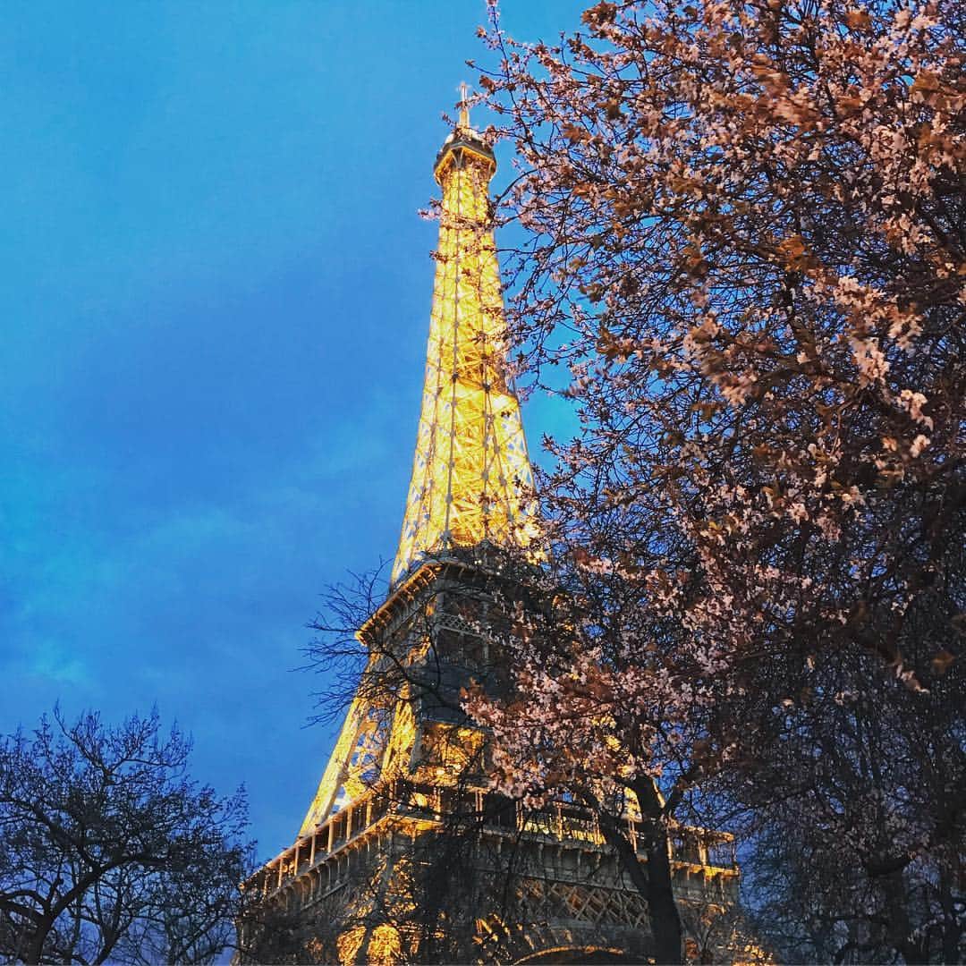チャン・リーメイさんのインスタグラム写真 - (チャン・リーメイInstagram)「1年前。 ＊ ＊ パリの私の部屋での1枚。  今年もエッフェル塔の麓に ＊ きれいな寒桜が咲いてるかしら。 ＊ ＊ #1年前 #パリの部屋 #エッフェル塔の麓 #vintagehermes #エッフェル塔と桜 #limeichiang #ヴィンテージエルメス #マルジェラ期」3月15日 16時41分 - limeichiang