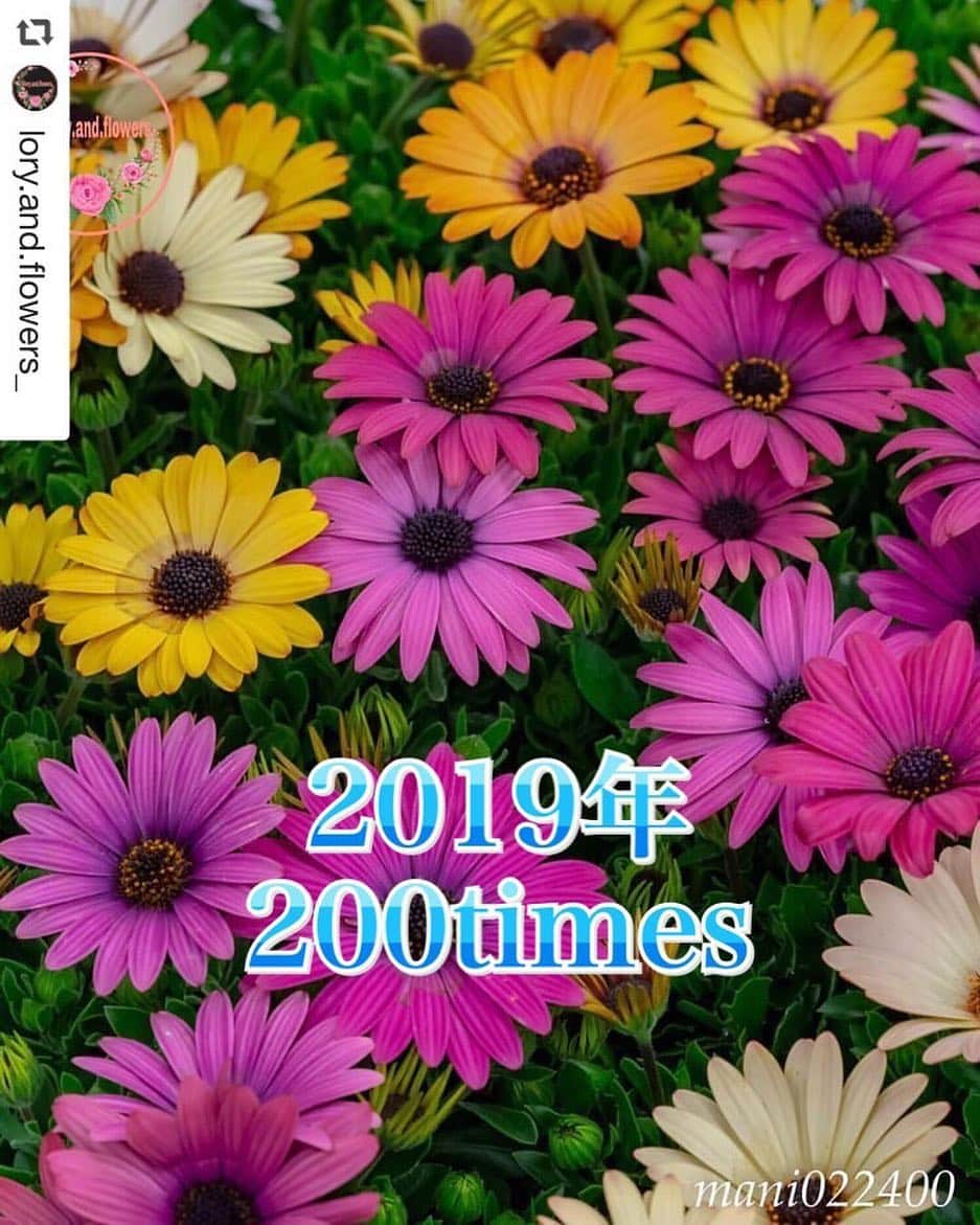 mani022400さんのインスタグラム写真 - (mani022400Instagram)「． 選んで頂きありがとうございます‼️ 2019年200回目の表彰、 感謝の気持ちを込めて、リポスト致します💐💐 ． ． thank you so much for selecting my photo in so beautiful gallery💞💞💞💞 . ． 多くの写真の中から選んで頂き、また、素敵なギャラリーにポストして頂き、ありがとうございます‼️ . 🌺🌺💐💐🌷🌷💞💞 . #repost @lory.and.flowers_ via @PhotoAroundApp 🌷🌸🌷🌸🌷🌸🌷🌸🌷🌸🌹🌸 🌸 Photo of the Day _  March  12,  2019 🌸 Congratulations to >  @mani022400 #lory_mani022400 🌸 🌸 Thank You so much for Following  @lory.and.flowers_  And keep tagging #la_flowers  #lory_and_flowers 🌸 🌸 • 🌸 🌸  selected by > @lory1953  admin profile> @lory1953 🌸 🌸 founder > @lory1953 • 🌸 🌸 🌷🌸🌷🌸🌷🌸🌷🌸🌷🌸🌹🌸#flowers #flower #socialenvy #petal #petals #nature #beautiful #love #pretty #plants #blossom #sopretty #flowerstagram #flowersofinstagram #flowerstyles_gf #flowerslovers #flowerporn #botanical #floral #florals #flowermagic #instablooms #bloom #blooms #botanical #floweroftheday 🌷🌸🌷🌸🌷🌸🌷🌸🌷🌸🌷🌸」3月15日 16時52分 - mani022400