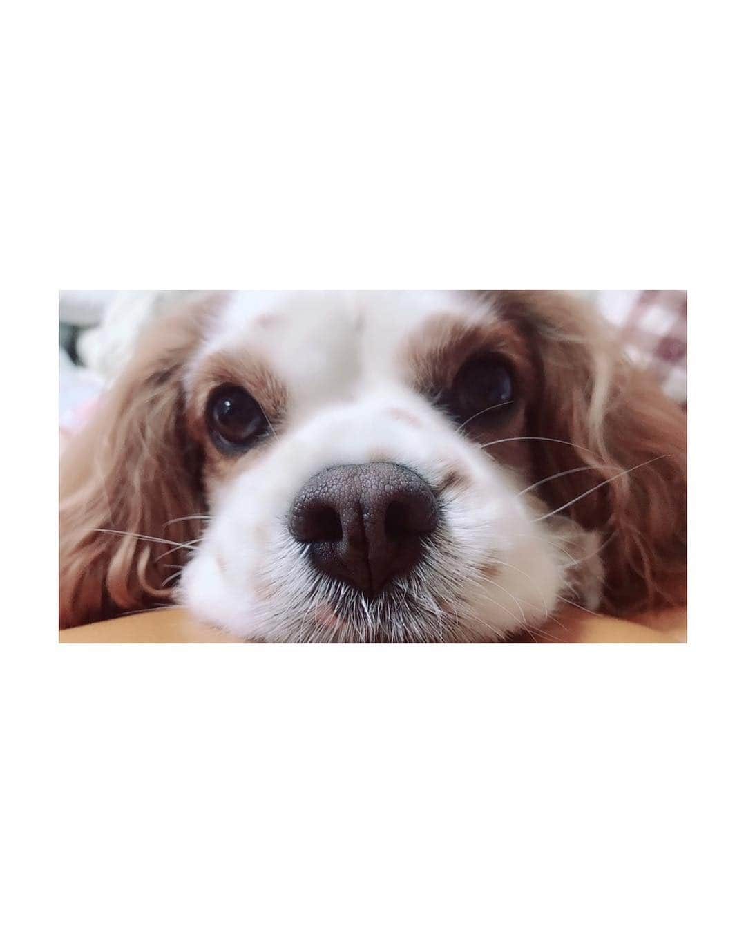 大谷芽衣のインスタグラム