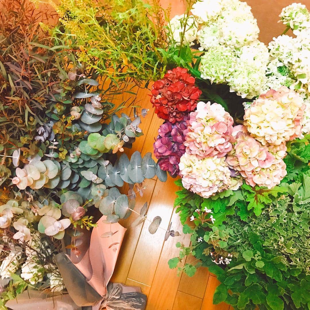片瀬那奈さんのインスタグラム写真 - (片瀬那奈Instagram)「花や植物が大好きな私💐 最近フローリストという雑誌で、お花や植物の連載を始めました😊🌼🍀🌸 第1回目は青木園芸さんのハウスにおじゃましました💁‍♀️ 初めましてと思いきや、ネット販売を通じて青木園芸の花や植物を沢山買っていたことが判明💡実際生産者の方にお会いできて嬉しいですし、花持ちの良さ、珍しい配色は青木夫妻のステキな人柄で作られているんだと実感しました✨今回はラナンキュラス💕 初めてブーケも作りました💐 ネットの#植物生活 でも連載読めますのでぜひご覧ください☺️♥️ #フローリスト #青木園芸 #flower #ラナンキュラス#アジサイ #ブーケ」3月15日 17時29分 - nana_katase