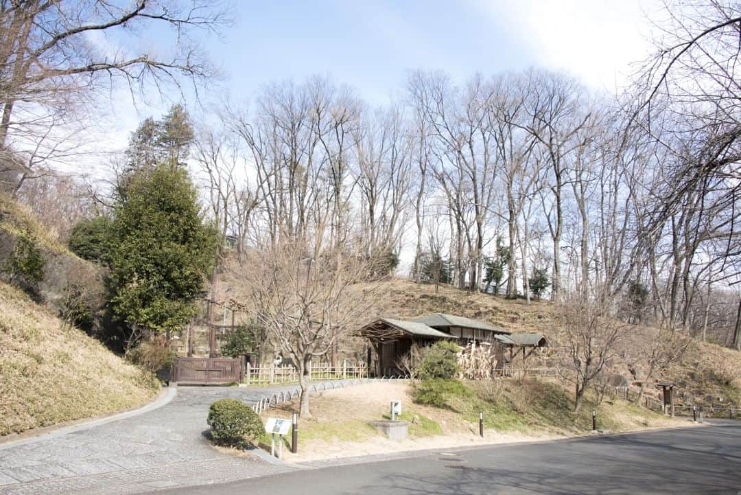 東京都庁広報課のグルメインスタ