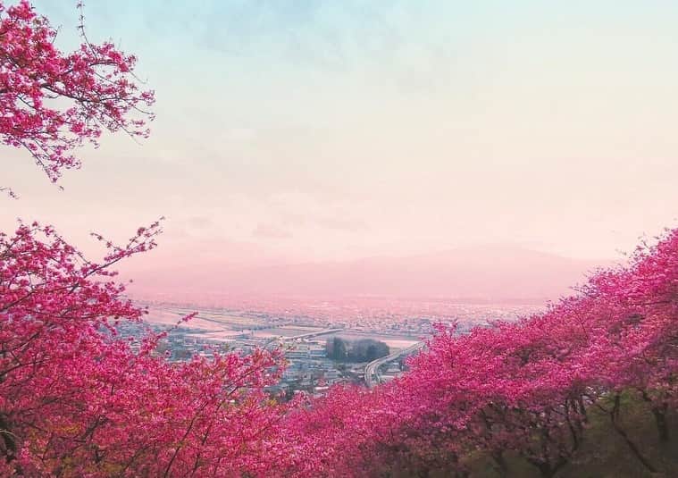 KKdayのグルメインスタ