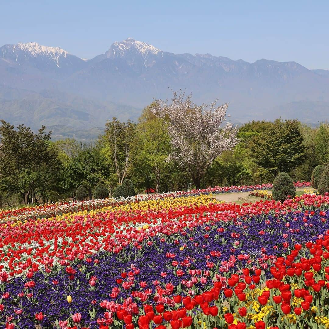 楽天トラベル のグルメインスタ