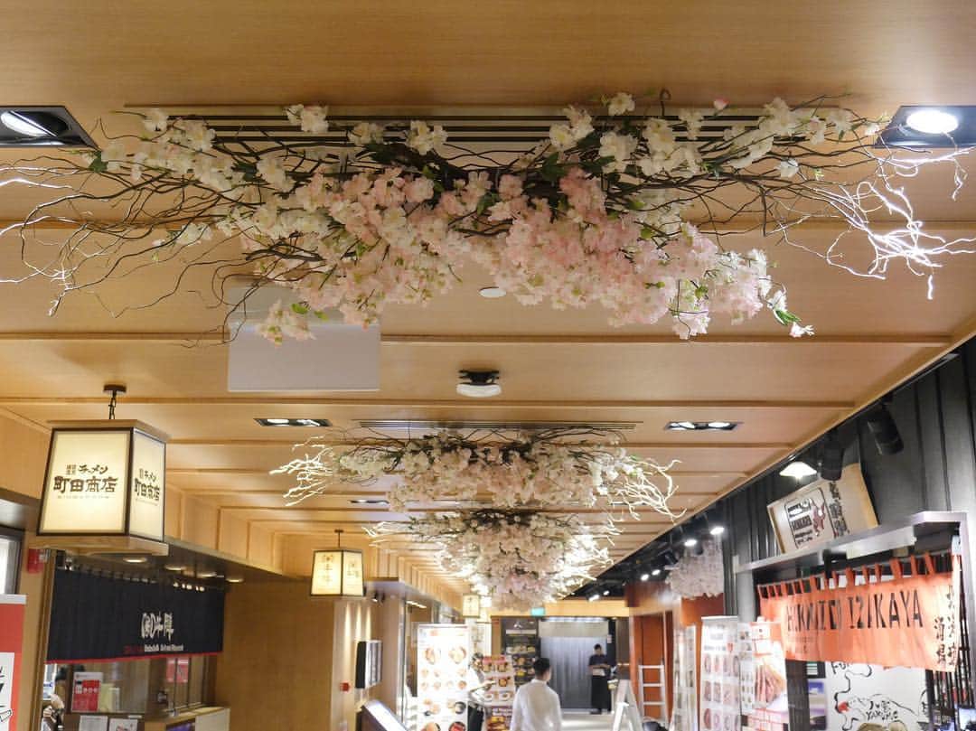 Japan Food Townさんのインスタグラム写真 - (Japan Food TownInstagram)「Japan Food Town is in spring bloom. SAKURA is back! We are planning some "Sakura Fair" with this spring feeling so stay tuned!⁣🌸 ⁣⠀ ジャパンフードタウンに桜の装飾をいたしました。今年は日本の桜前線も早めということで、少し早めに開始です。今後「桜フェア」も企画しておりますので、楽しみにしていてください⁣🌸 ⁣⠀ #sakura #spring #cherryblossom #decoration #bloom⁣⠀ #japanfoodtown #japanesfood #eatoutsg #sgeat #foodloversg #sgfoodporn #sgfoodsteps #instafoodsg #japanesefoodsg #foodsg #orchard #sgfood #foodstagram #singapore #wismaatria #ジャパンフードタウン #シンガポール #桜 #春 #ピンク #春の訪れ #四季 #日本の春⁣⠀」3月15日 18時05分 - japanfoodtown