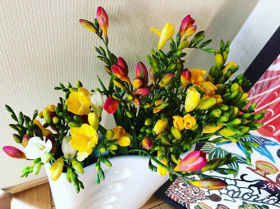 南早苗さんのインスタグラム写真 - (南早苗Instagram)「八丈島からようこそ。フリージアさん！お福分け、ありがとうございます！ #八丈島 #八丈島フリージア祭りは3月25日から #南の島好き #一度は訪れてみたい #花のある生活 #元気チャージ」3月15日 18時08分 - minamisanae