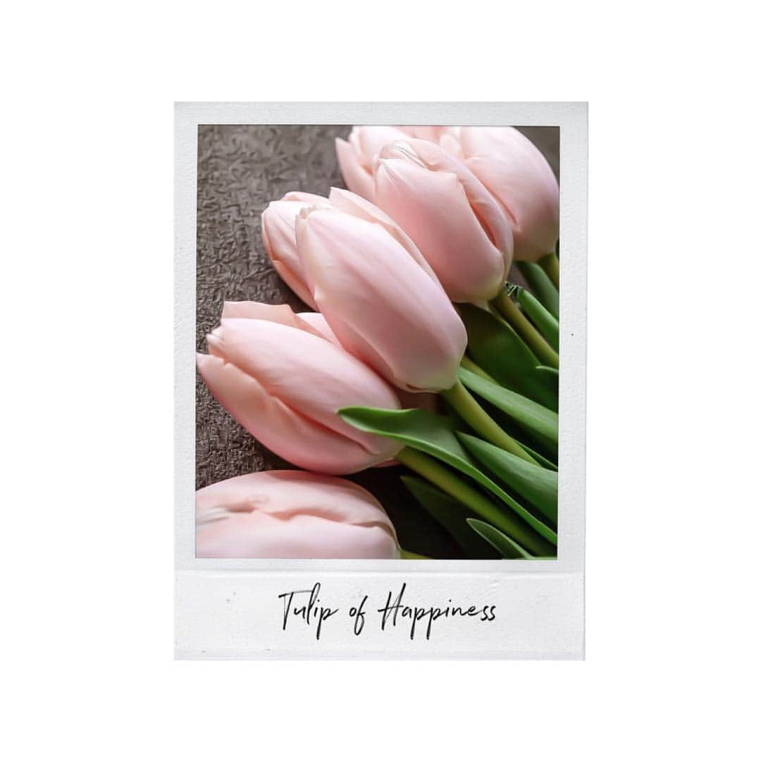 Yukicoさんのインスタグラム写真 - (YukicoInstagram)「癒されチューリップ🌷 いつの間にかフォトジェニックな考え方 見方、見え方‥ 全部が変わりましたね お花の美しさはずっと変わらないのにな♡ ‥‥‥‥‥‥‥‥‥‥‥‥‥‥‥‥‥‥‥‥‥‥‥‥‥‥‥‥‥‥‥‥‥‥ #storyofmylife#flowers#flowerporn#flowerslovers#flowerstyles#floweroflife#flower_perfection#flowerstagram#flowerporn#still_life_gallery#floweroftheday#littlethings#livethelittlethings#tv_living#f52grams#f52home#gatheringslikethese#feedfeed#simplepleasures#momentslikethese#blooms#flowertalking#bouquet#bouquets#tulip#tulips#チューリップ」3月15日 18時11分 - yukicolifecom