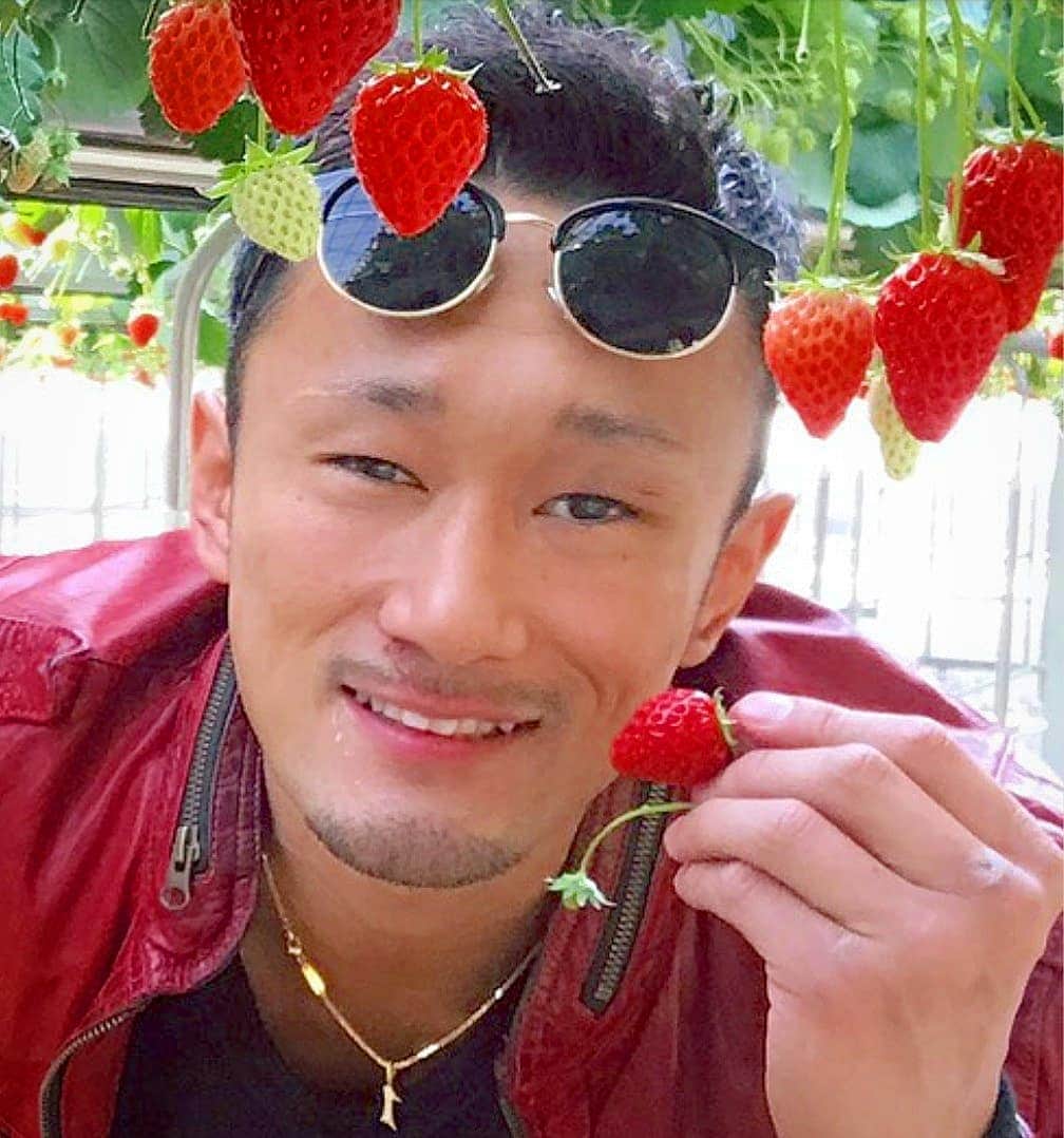 梅野源治のインスタグラム：「🍓🍓🍓 #イチゴ狩り」