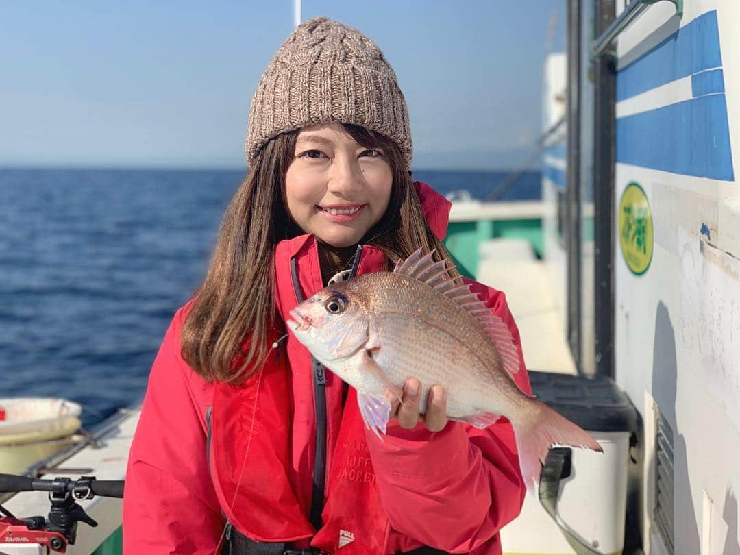 晴山由梨さんのインスタグラム写真 - (晴山由梨Instagram)「釣ってから3日寝かせたマダイ🐟 捌いたら刺身泥棒にひと切れ持ってかれた😂 . #釣り #相模湾 #コマセマダイ #マダイ #釣り飯 #釣果料理 #刺身 #焼酎ハイボール #晴山由梨 #fish #fishing #daiwa #lovefishing  #fishinglife #fishingdaily #fishingtrip  #angler #fishingphotography #boatfishing #sea #猫のいる暮らし #猫 #マンチカン #catsofinstagram」3月15日 18時33分 - hareyama_yuri