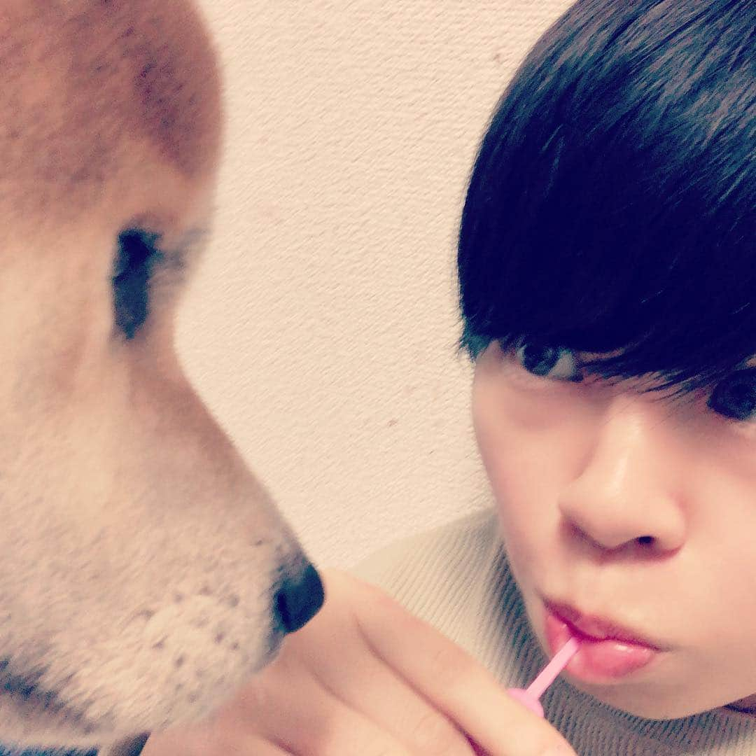 相澤ゆりなさんのインスタグラム写真 - (相澤ゆりなInstagram)「#犬に狙われている  #目当てはアンパンマンチョコ  #あげませんw」3月15日 18時48分 - aizawayurina