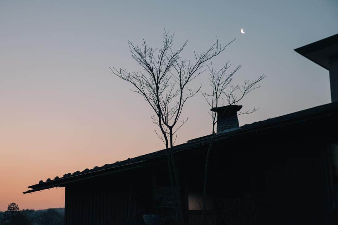 ヒラハルのグルメインスタ