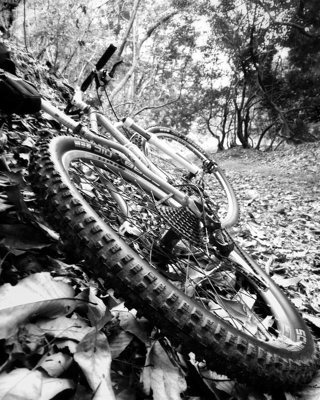 kazuのインスタグラム：「#igersjp #instagramjapan #team_jp_モノクロ #indies_gram  #hueart_life #tokyocameraclub #shotoniphone #magura #schwalbe #rockshox #voodoobikes #instamtb #mtblife #トレイルライド #jj_forum_2568」