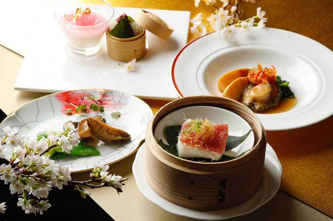 THE WESTIN TOKYO | ウェスティンホテル東京さんのインスタグラム写真 - (THE WESTIN TOKYO | ウェスティンホテル東京Instagram)「満開の桜に思いを馳せる、華麗な広東料理はいかがですか🌸😋 2019年2月でリニューアルから1周年を迎えた広東料理「龍天門」では、総料理長の和栗邦彦が桜の色や香りをアクセントに創作した本格広東料理をご提供。シェフの代表料理「スジアラの強火蒸し🐟」は桜の香りともに。桜エビ風味の鮑の煮込みや桜色のデザートなど、春の訪れをご堪能ください✨ 詳細はプロフィールのリンク🔗より👉👉 ...... Spring is in the air and we can't wait for the arrival of sakura🌸😊 Close your eyes and imagine the cherry blossoms in full bloom - it’ll be even easier to do with our enticing line-up of Cantonese delicacies crafted by Rytenmon’s Executive Chef Kunihiko Waguri. Available from now through April 8th, indulge in a tantalizing course featuring abalone or edible bird’s nest, all made with colourful and fragrant touches of sakura😋 Visit our bio link 🔗for more details👉👉 ...... #ウィスティンホテル東京 #ホテル #東京 #恵比寿 #広東料理 #桜 #春料理 #スジアラ #鮑 #ウェスティンホテル #ウェスティン #ホテル #ホテルディナー #WestinTokyo #hotel #tokyo#Cantonese #restaurant #sakura #Chineserestaurant #cantonesecuisine #gourmet #westinhotel#thewestintokyo #westin #Japan #spring」3月15日 18時57分 - westintokyo