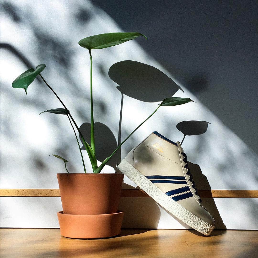 のインスタグラム：「ONLINE !!! RODLER in Creme Weiß : #1972 gewann der bekannte #Rennrodler Wolfram Fiedler in den Zeha-Schuhen die #europameisterschaft  Der #Zeha #Rennrodelschuh kam zum ersten Mal in den #1960er Jahren auf den Markt und verhalf #Spitzenrodlern wie Wolfram Fiedler und Horst Hörnlein zum #Olympiaerfolg.  Jetzt ist der Rodler zurück und vereint Originaldesign mit modernem Tragekomfort. Gefertigt ist er, wie alle Modelle von Zeha Berlin, aus hochwertigen Materialien in #portugal  #Rodler #zehaberlin #sneakers #streetwear #sporthistory #olympics #sport #vintage #oldgermanbrand #berlin #heritage #iconic #german #footwear #vintagesportswear  #sneakershoes #sneakerslovers #interiordesign」