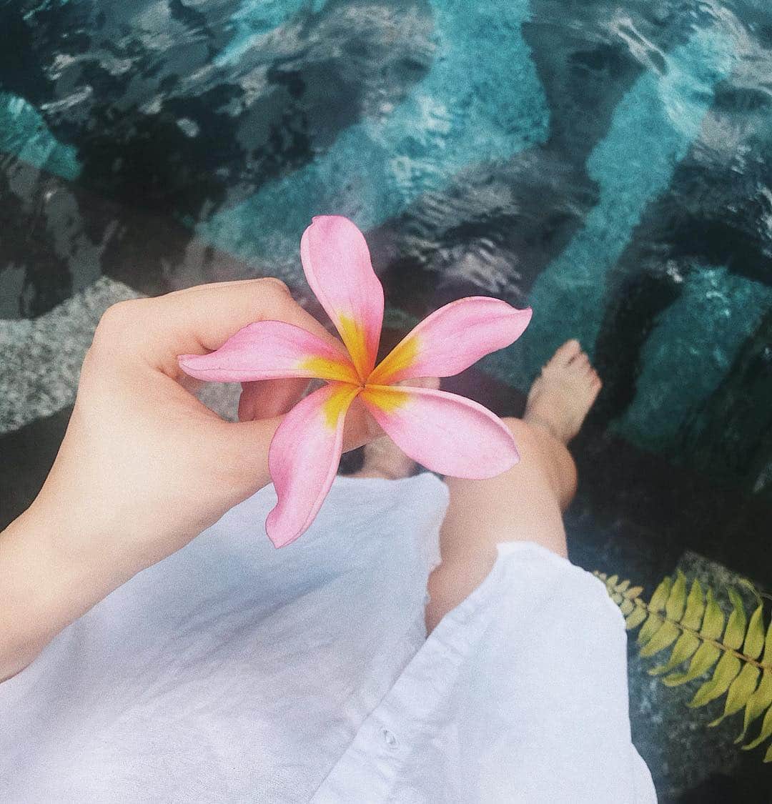 Marumiのインスタグラム：「🌸🌿」