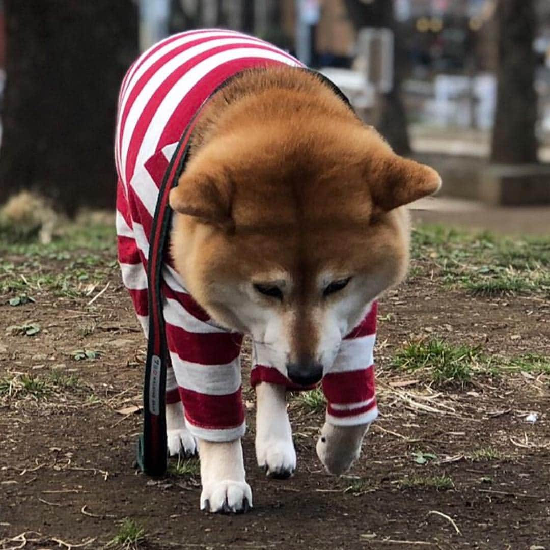 くるみのインスタグラム