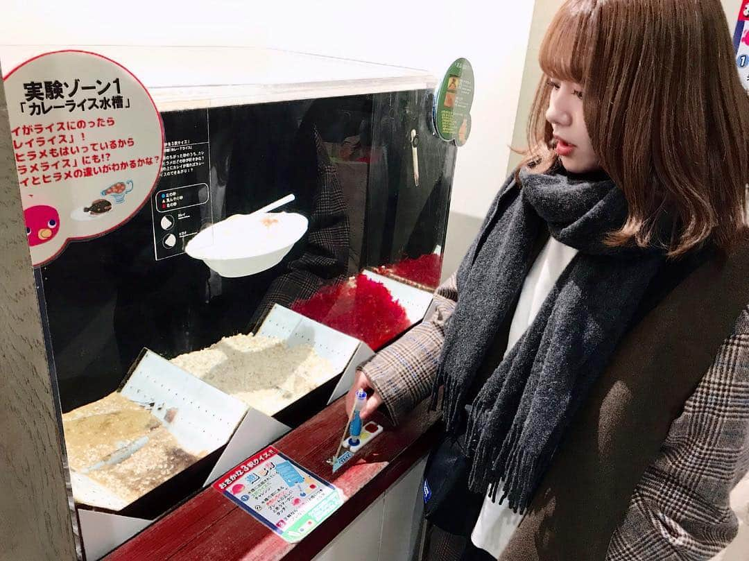 門脇佳奈子さんのインスタグラム写真 - (門脇佳奈子Instagram)「⭐️ 斬新な水槽や…😳 * * #横浜 #中華街 #おもしろ水族館 * カレイの水槽にカレー🍛のルーなしが入っていました🤣 世界観好きー🤣❤️」3月15日 20時50分 - kanakoofficial