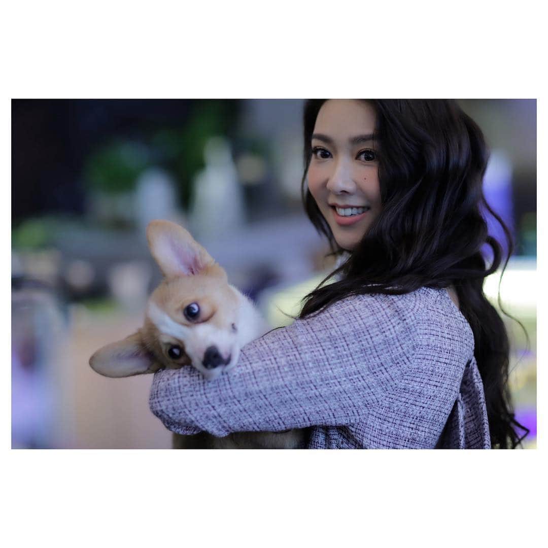 フィオナ・シットさんのインスタグラム写真 - (フィオナ・シットInstagram)「跟動物開工最開心！上海Owoh寵物生活體驗館開幕儀式 Outfit: @_car2ie  #fionasit #薛凱琪」3月15日 20時59分 - physit