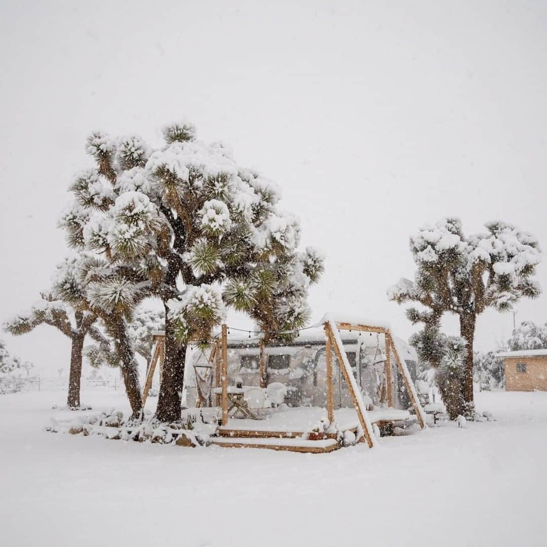 The Horseさんのインスタグラム写真 - (The HorseInstagram)「Straight to the bucket list.⠀⠀⠀⠀⠀⠀⠀⠀⠀ Winter wonderland at Joshua Tree ❄️ ☃️ ⠀⠀⠀⠀⠀⠀⠀⠀⠀ Have you been to Joshua Tree??? ⠀⠀⠀⠀⠀⠀⠀⠀⠀ @joshuatreeacres⠀⠀⠀⠀⠀⠀⠀⠀⠀ 📸zeekyan⠀⠀⠀⠀⠀⠀⠀⠀⠀ -⠀⠀⠀⠀⠀⠀⠀⠀⠀ ⠀⠀⠀⠀⠀⠀⠀⠀⠀ ⠀⠀⠀⠀⠀⠀⠀⠀⠀ ⠀⠀⠀⠀⠀⠀⠀⠀⠀ #travel #snow #joshuatree #adventure #winter #winterwonderland」3月16日 6時30分 - the_horse